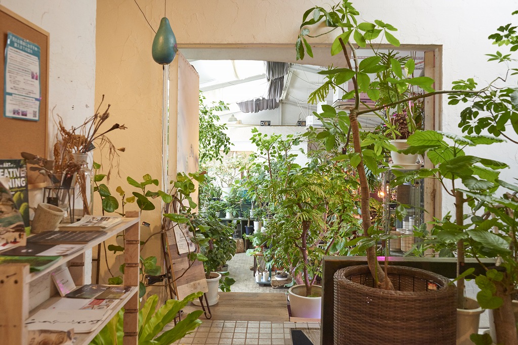 観葉植物がある暮らしをしませんか もっと Happy Style